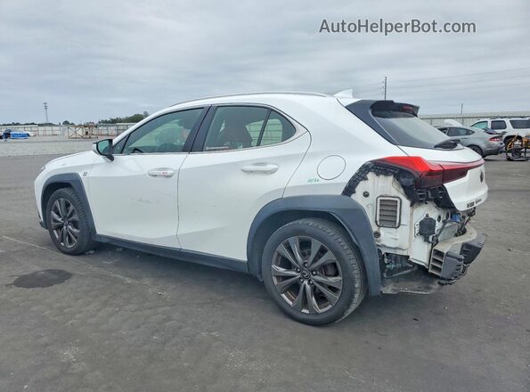 JTHY3JBH9K2002368 2019 LEXUS UX Белый Задняя левая четверть