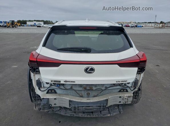 JTHY3JBH9K2002368 2019 LEXUS UX Белый Вид сзади