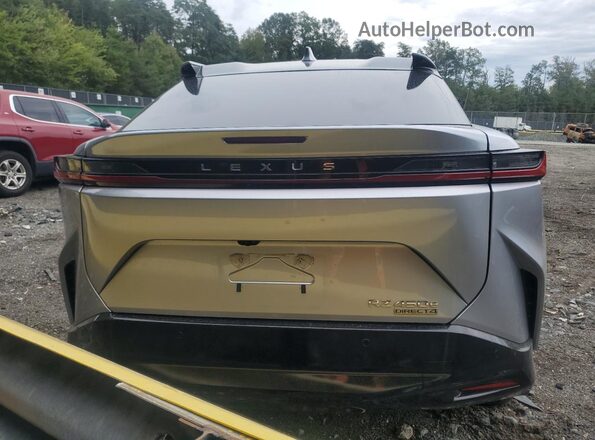 JTJAAAAB1PA002302 2023 LEXUS RZ Серебряный Вид сзади