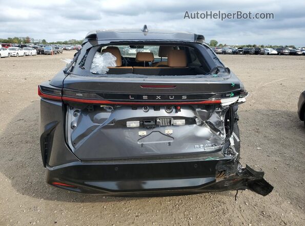 JTJAAAAB5RA025083 2024 LEXUS RZ Серый Вид сзади