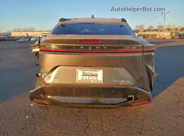 JTJAAAAB8SA031109 2025 LEXUS RZ Угольный Вид сзади
