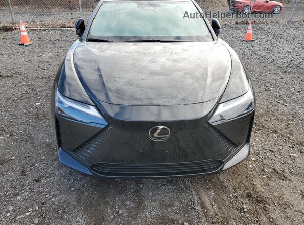 JTJAAAAB9SA030521 2025 LEXUS RZ Черный Вид задней части салона