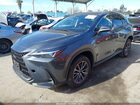 2024 Lexus Nx 250   Серый vin: JTJADCAZ2R5013739