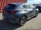 2024 Lexus Nx 250   Серый vin: JTJADCAZ2R5013739