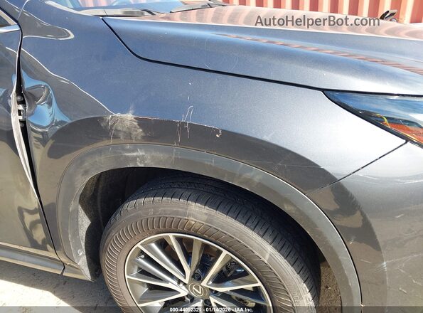JTJADCAZ2R5013739 2024 LEXUS NX 250 Серый 