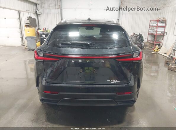 JTJADCEZ3N2001833 2022 LEXUS NX 250 Black 