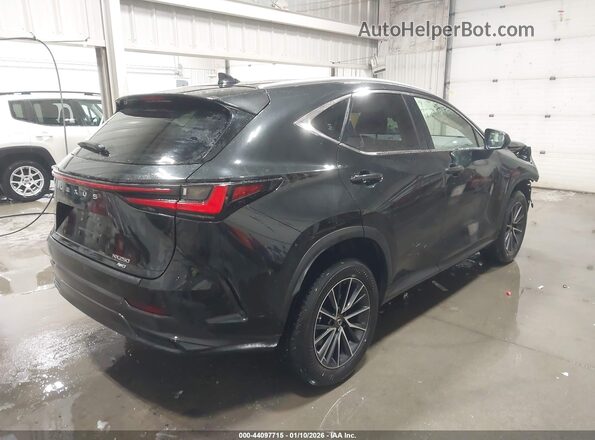 JTJADCEZ3N2001833 2022 LEXUS NX 250 Black Задня права чверть