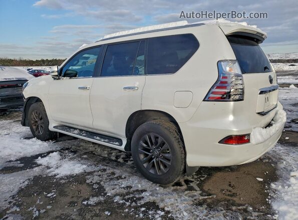 JTJAM7BX0M5269147 2021 LEXUS GX Белый Задняя левая четверть