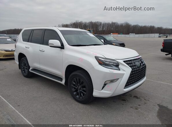 JTJAM7BX0P5346717 2023 LEXUS GX 460 Белый Передняя правая четверть