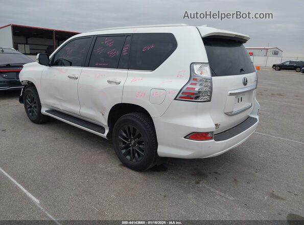 JTJAM7BX0P5346717 2023 LEXUS GX 460 Белый Задняя левая четверть