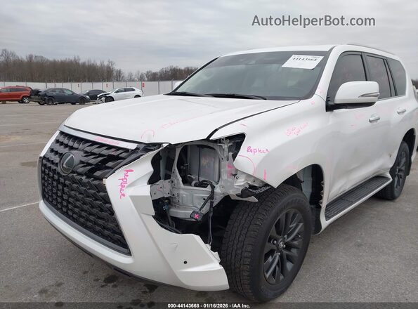 JTJAM7BX0P5346717 2023 LEXUS GX 460 Белый Вид спереди