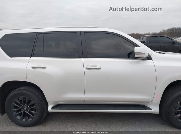 JTJAM7BX0P5346717 2023 LEXUS GX 460 Белый Вид задней части салона