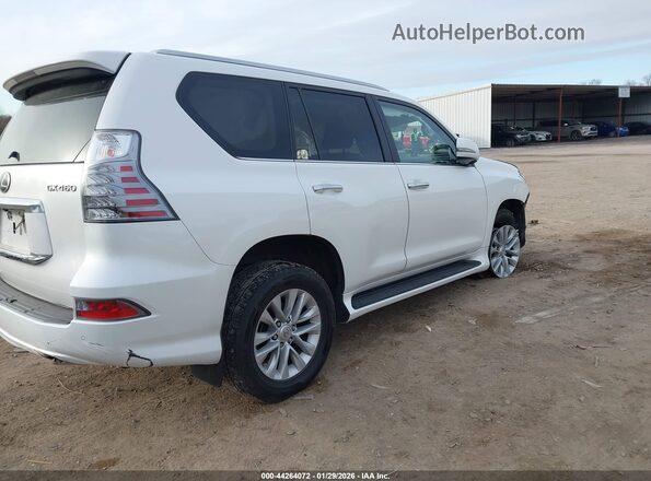 JTJAM7BX4M5284105 2021 LEXUS GX 460 Белый Задняя правая четверть