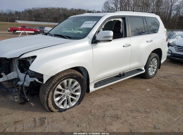 JTJAM7BX4M5284105 2021 LEXUS GX 460 Белый Передняя левая четверть