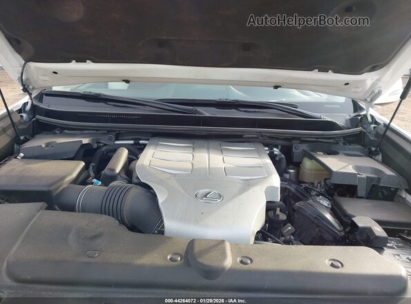 JTJAM7BX4M5284105 2021 LEXUS GX 460 Белый Вид сзади