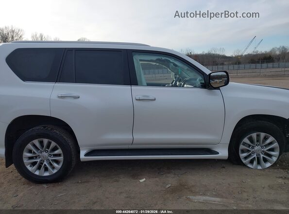 JTJAM7BX4M5284105 2021 LEXUS GX 460 Белый Вид задней части салона