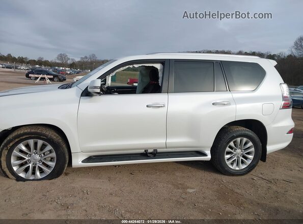 JTJAM7BX4M5284105 2021 LEXUS GX 460 Белый Панорамный вид салона 360°
