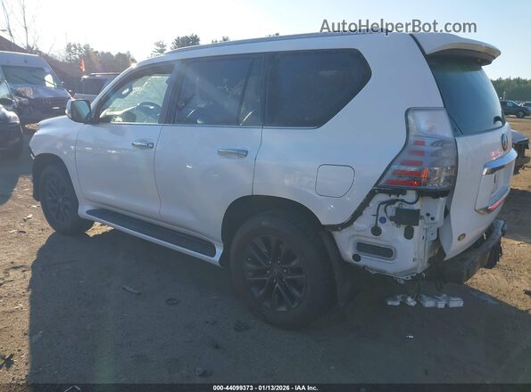 JTJAM7BX5L5243805 2020 LEXUS GX 460 Белый Задняя левая четверть