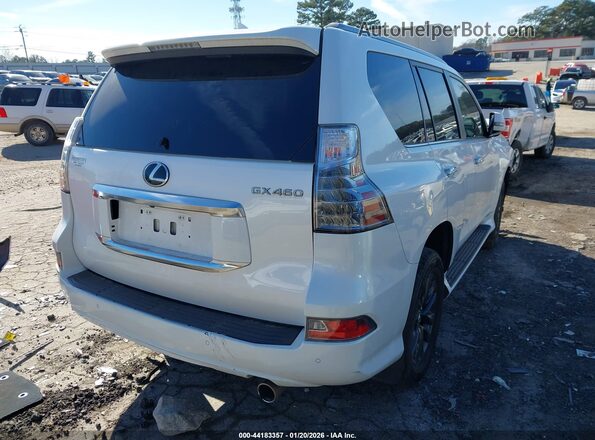 JTJAM7BX9L5243127 2020 LEXUS GX 460 Белый Задняя правая четверть