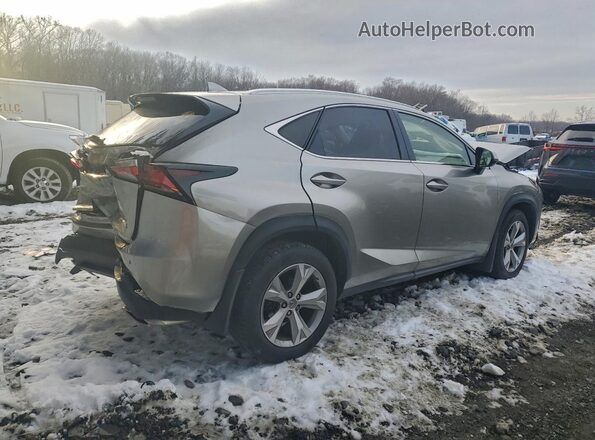 JTJBARBZ0H2103227 2017 LEXUS NX Silver Tył prawy