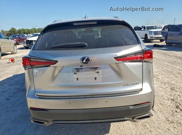 JTJBARBZ0K2191753 2019 LEXUS NX Silver Вид ззаду