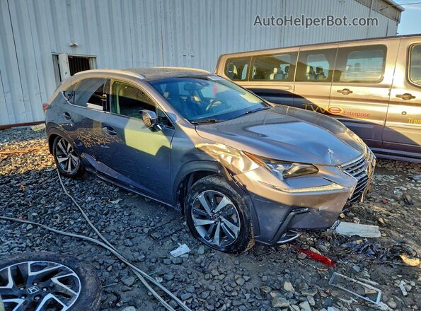 JTJBARBZ2J2150135 2018 LEXUS NX Серый Передняя правая четверть