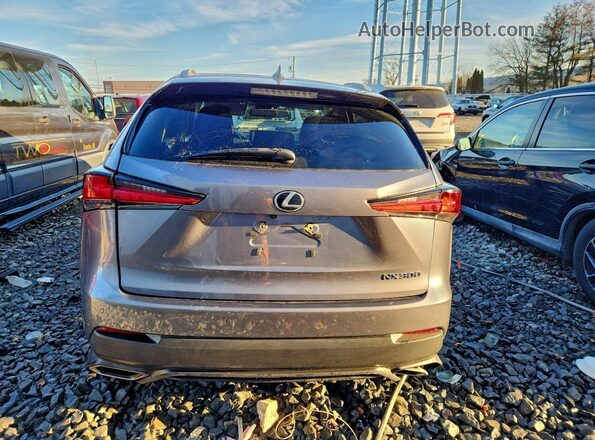 JTJBARBZ2J2150135 2018 LEXUS NX Серый Вид сзади