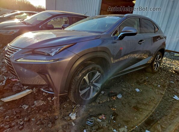JTJBARBZ2J2150135 2018 LEXUS NX Серый Передняя левая четверть
