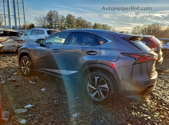 JTJBARBZ2J2150135 2018 LEXUS NX Серый Задняя левая четверть
