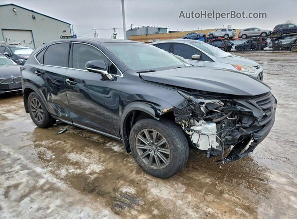 JTJBARBZ3G2071047 2016 LEXUS NX Черный Передняя правая четверть