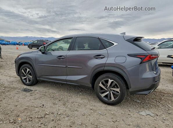 JTJBARBZ3J2167249 2018 LEXUS NX Серый Задняя левая четверть