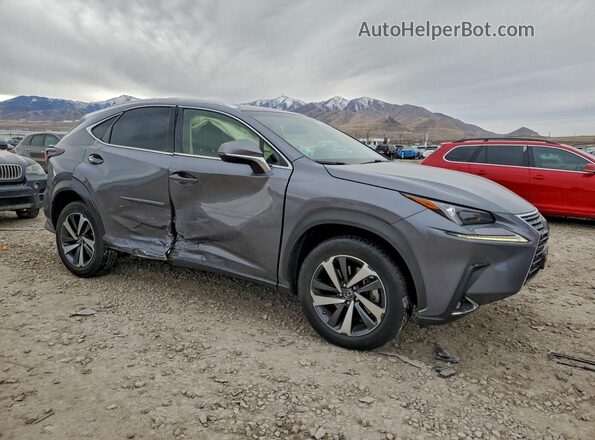 JTJBARBZ3J2167249 2018 LEXUS NX Серый Передняя правая четверть