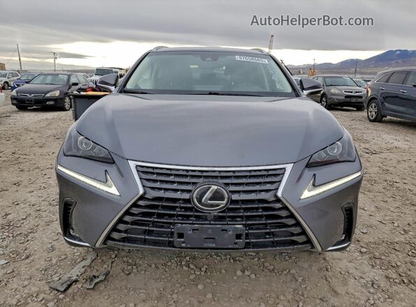 JTJBARBZ3J2167249 2018 LEXUS NX Серый Вид спереди