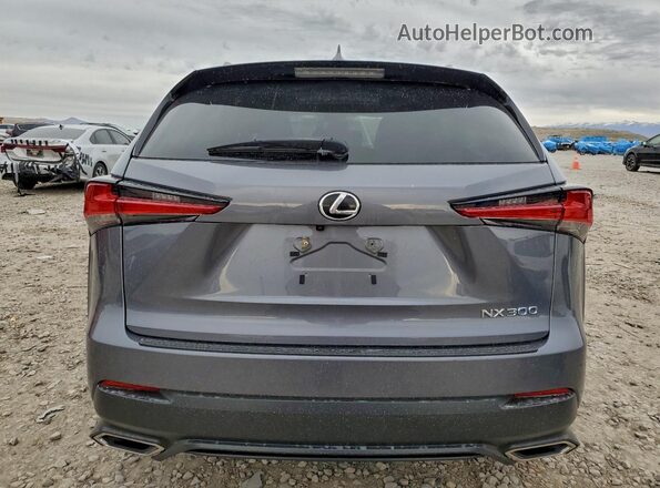 JTJBARBZ3J2167249 2018 LEXUS NX Серый Вид сзади