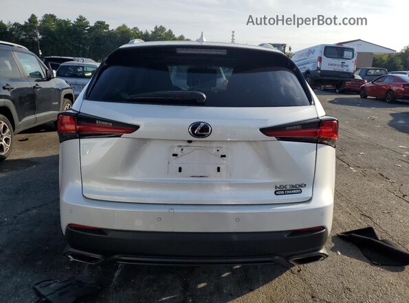 JTJBARBZ3K2189088 2019 LEXUS NX White Rear view