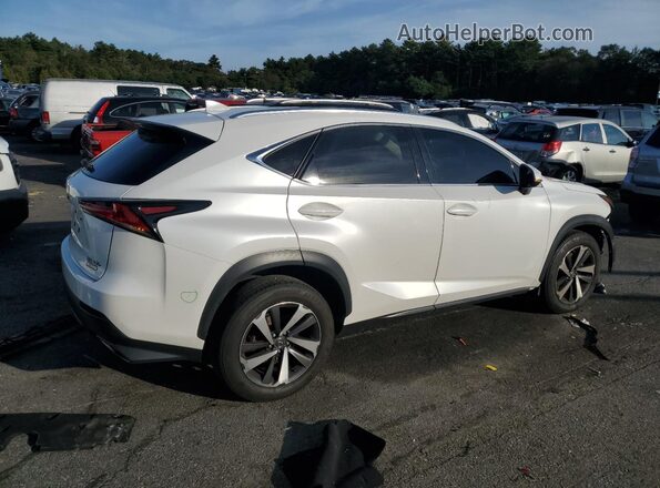 JTJBARBZ3K2189088 2019 LEXUS NX White Rear right