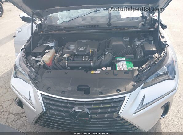 JTJBARBZ4J2174985 2018 LEXUS NX 300 Серебряный Вид сзади