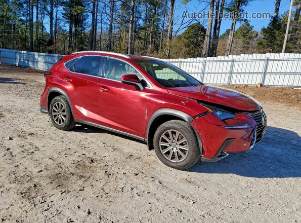 JTJBARBZ5K2185799 2019 LEXUS NX Красный Передняя правая четверть