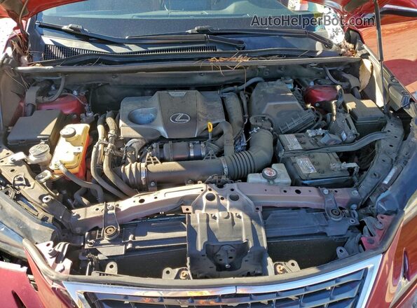 JTJBARBZ5K2185799 2019 LEXUS NX Красный Вид подкапотного пространства