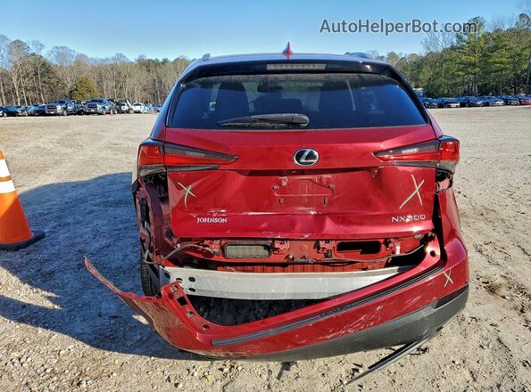 JTJBARBZ5K2185799 2019 LEXUS NX Красный Вид сзади
