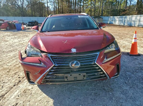 JTJBARBZ5K2185799 2019 LEXUS NX Красный Вид спереди