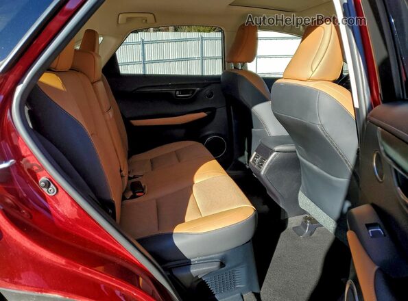 JTJBARBZ5K2185799 2019 LEXUS NX Красный Вид задней части салона