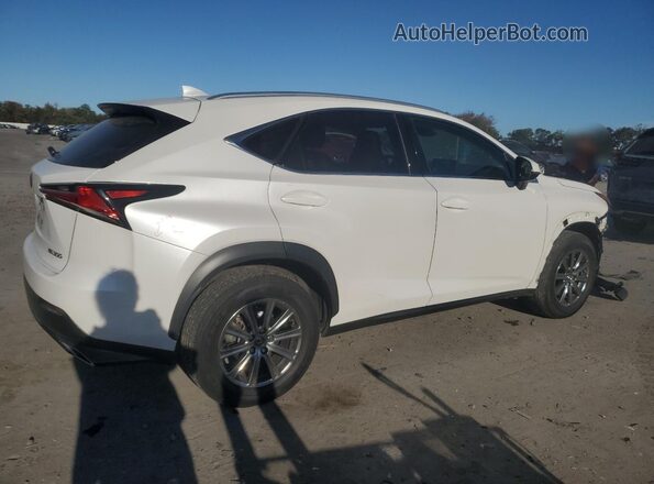 JTJBARBZ5K2210801 2019 LEXUS NX Белый Задняя правая четверть