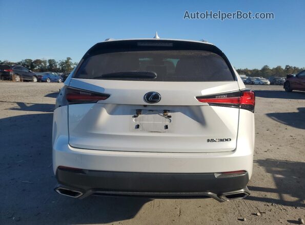 JTJBARBZ5K2210801 2019 LEXUS NX Белый Вид сзади