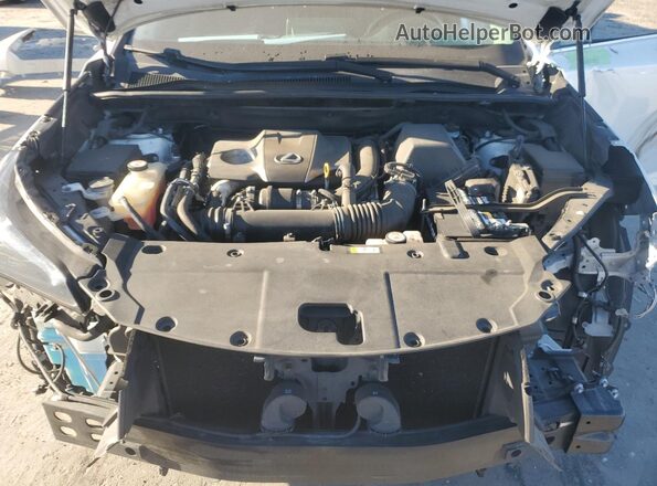JTJBARBZ5K2210801 2019 LEXUS NX Белый Вид подкапотного пространства