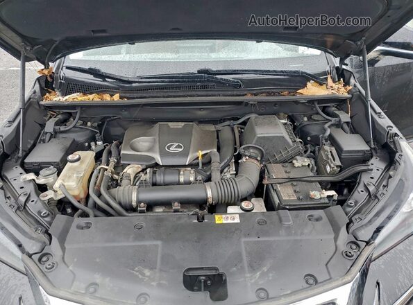 JTJBARBZ6G2092457 2016 LEXUS NX Черный Вид задней части салона