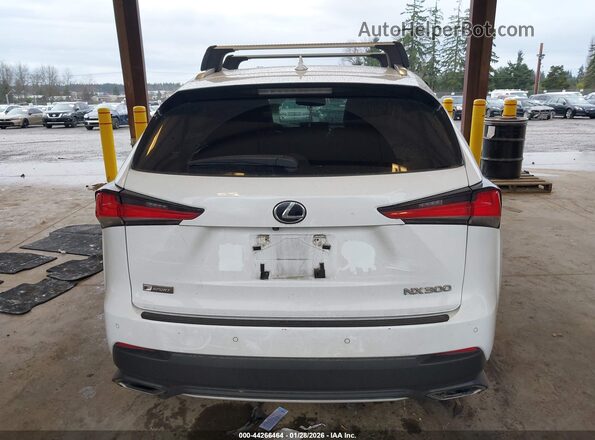 JTJBARBZ7K2182807 2019 LEXUS NX 300 Белый 