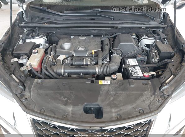 JTJBARBZ7K2182807 2019 LEXUS NX 300 Белый Вид сзади
