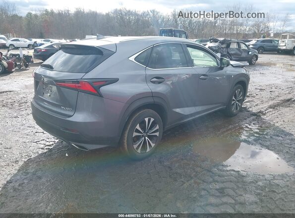 JTJBARBZ8K2180693 2019 LEXUS NX 300 Серый Задняя правая четверть