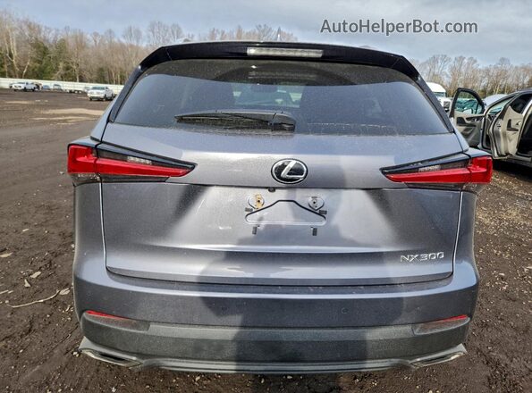 JTJBARBZ8K2186929 2019 LEXUS NX Серый Вид сзади